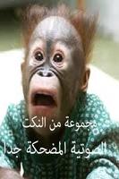 Moroccan jokes sound