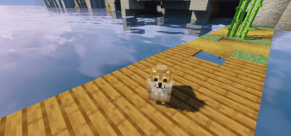 My world POMERANIANS Resource resource package