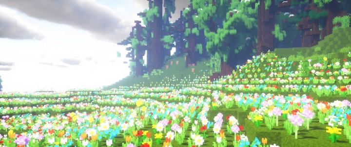My world Vibrance Veason resource package