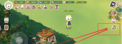 Introduction of Obi Island Dream Country ingredients
