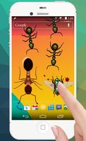 Ants Insect Crush