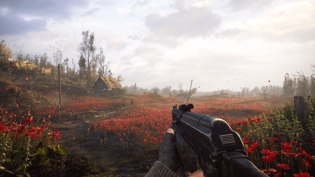 Comment terminer les champs de coquelicots dans Stalker 2