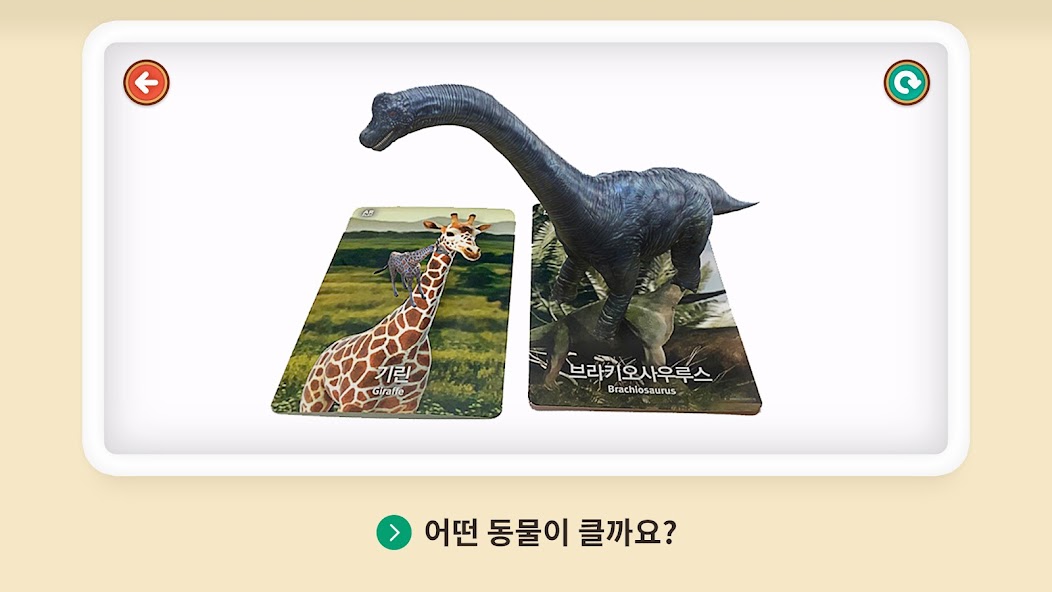 Curio Safari AR