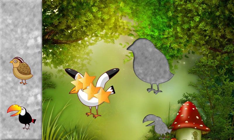 Birds Puzzles for Toddlers !