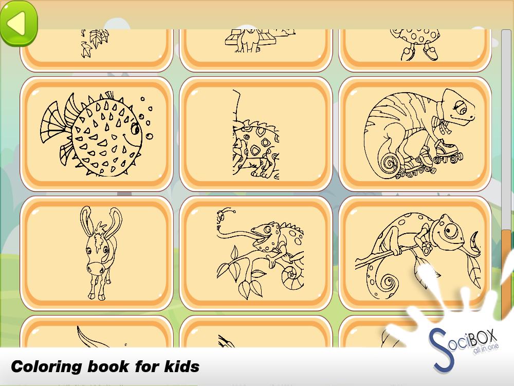 Chameleon Coloring Book