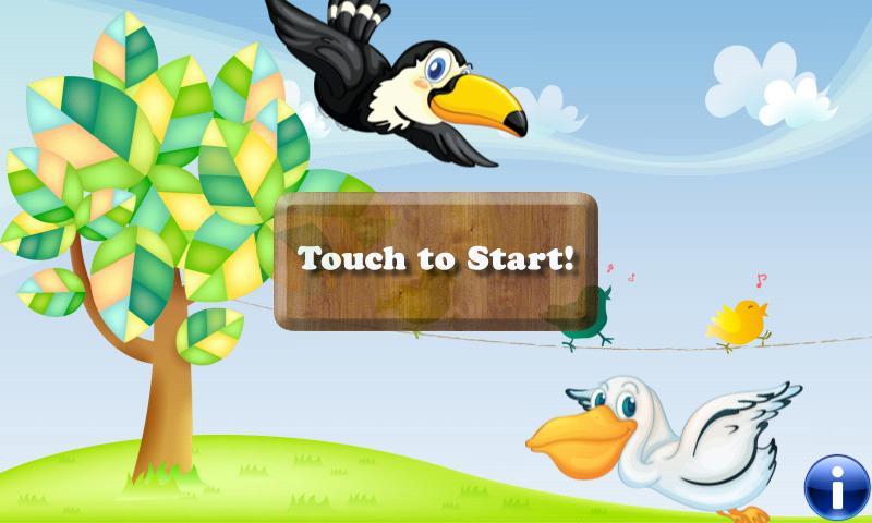Birds Puzzles for Toddlers !