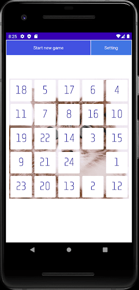 Twenty Five Puzzle