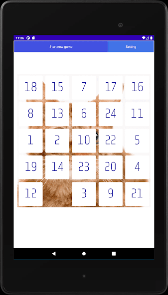 Twenty Five Puzzle