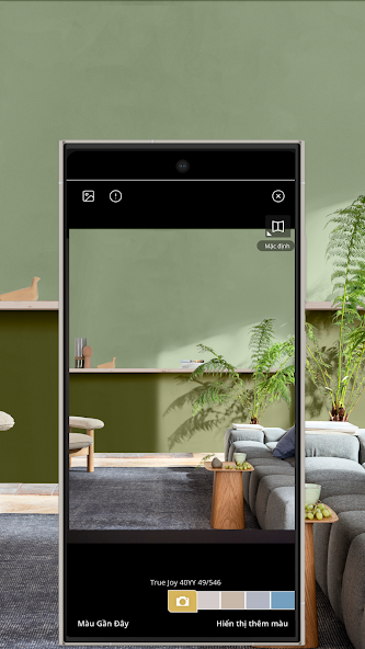 Dulux Visualizer VN