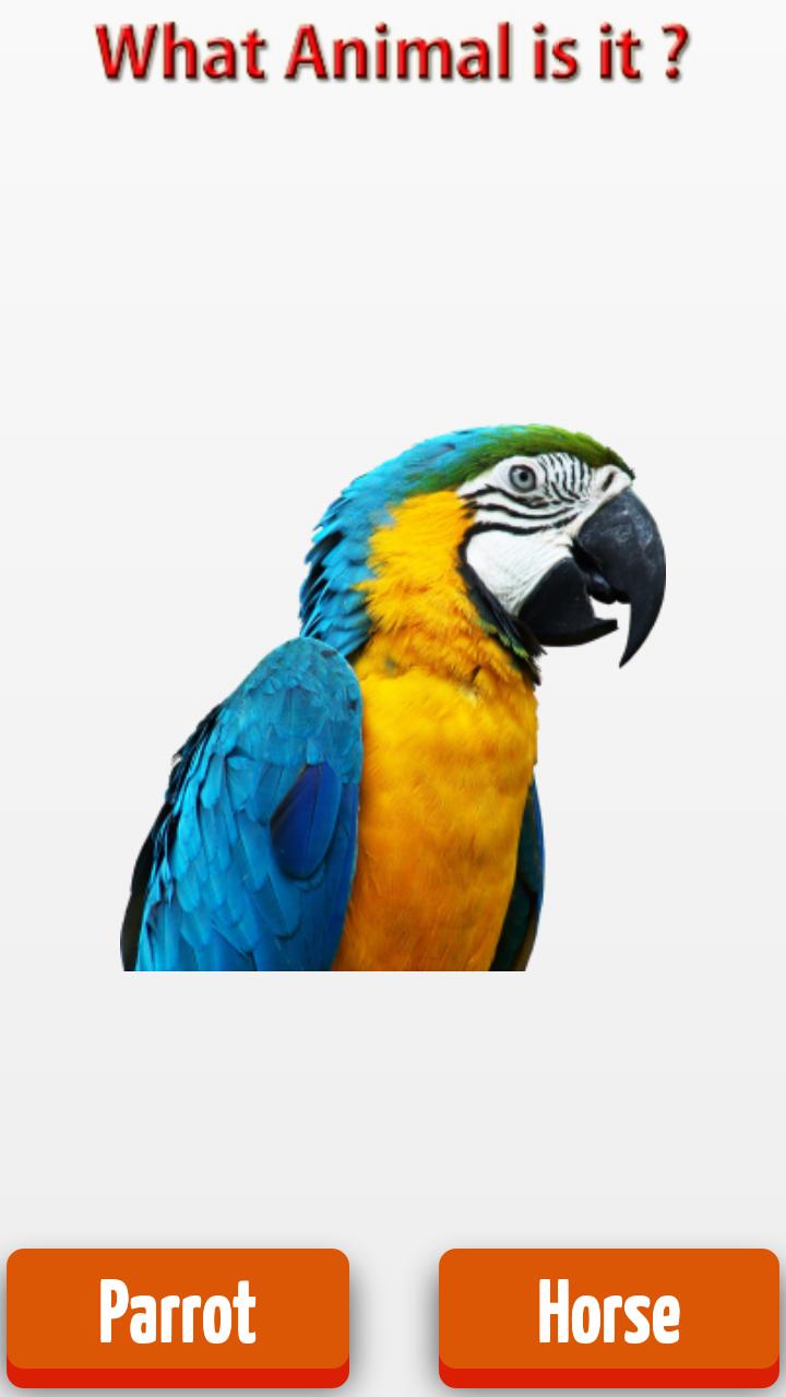 Real Animals Kids