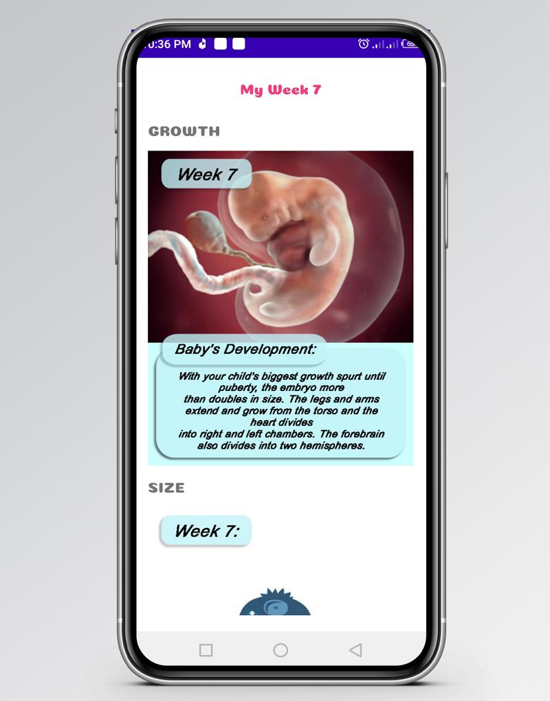 Due Date Countdown Pregnancy