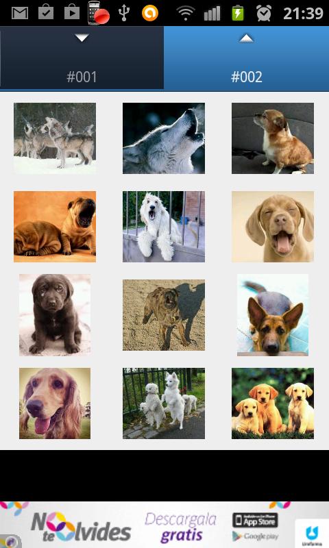 Dog Ringtones