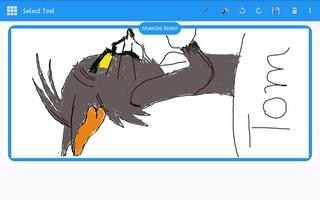 Paint