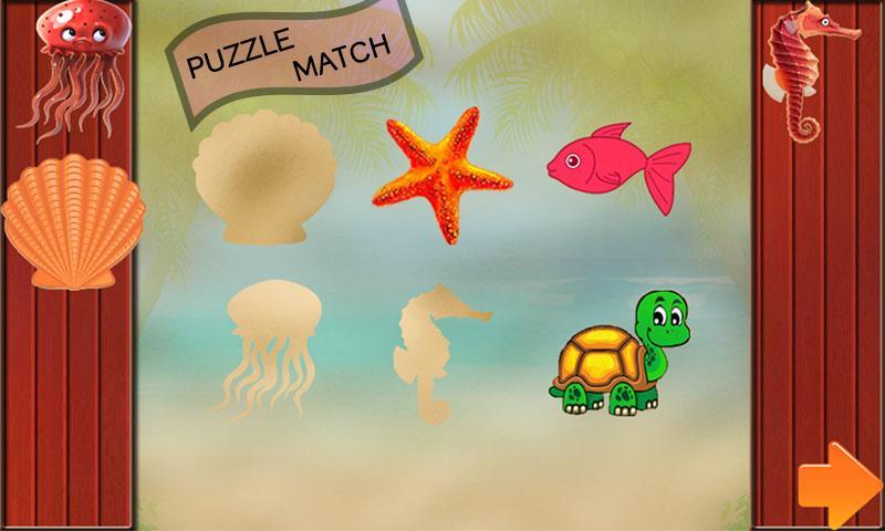 A Day at  A Beach