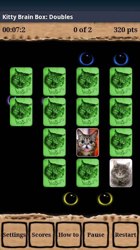Kitty Brain Box