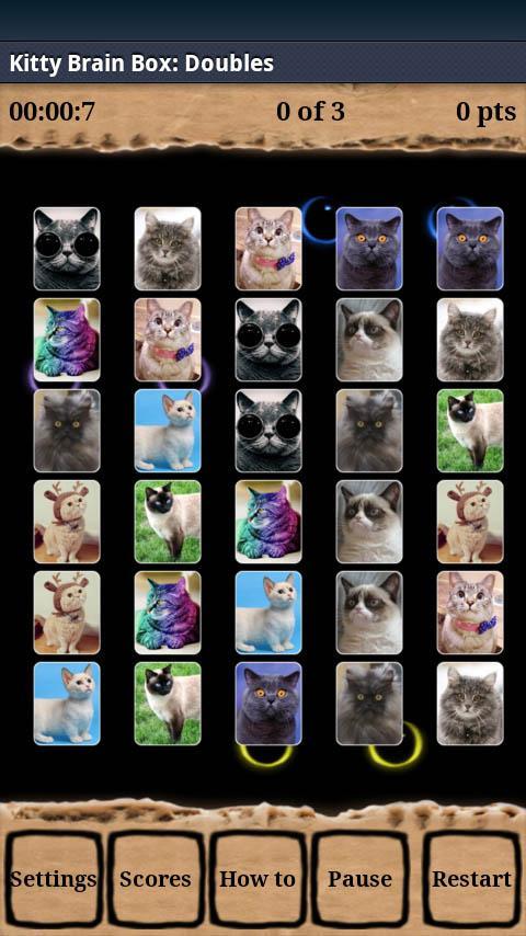 Kitty Brain Box