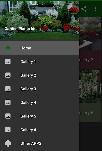 Garden Plants
