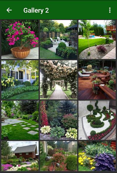 Garden Plants