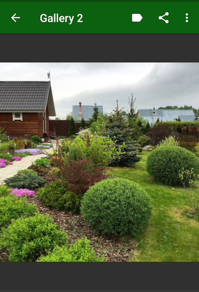 Garden Plants