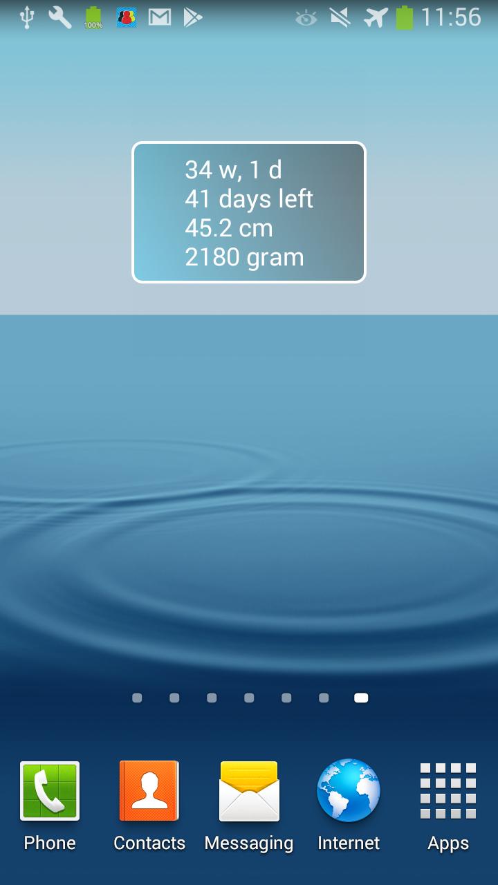 My Pregnancy Info Widget