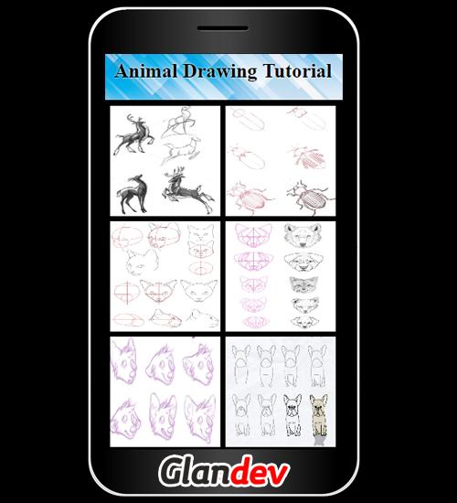 Animal Drawing Tutorials