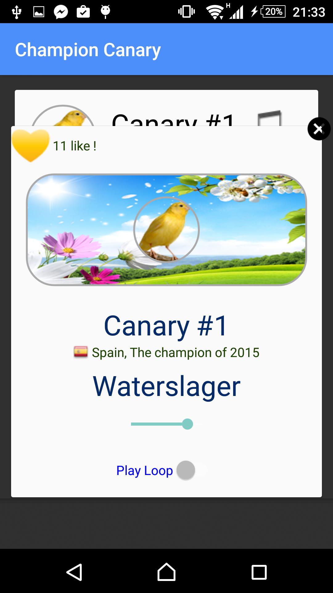 Champion Canary