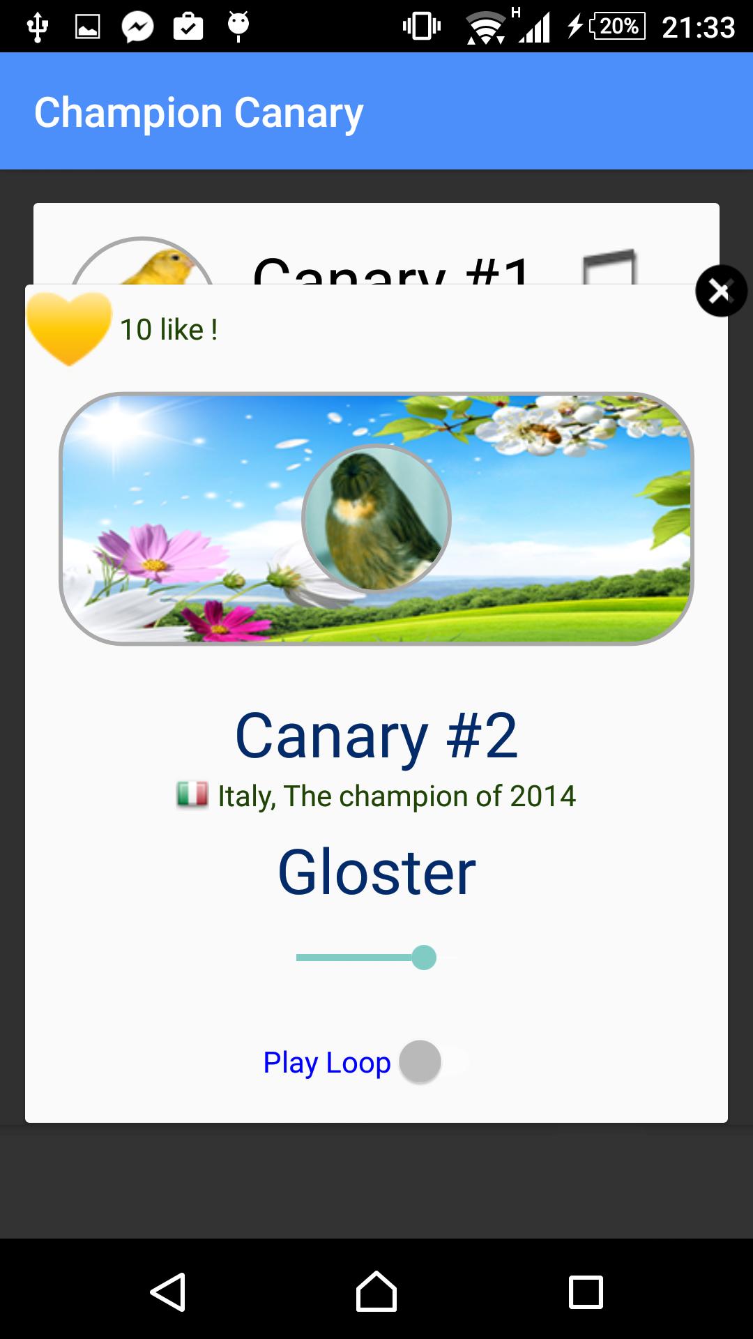 Champion Canary