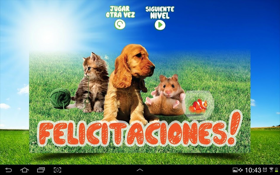 Pareja de Mascotas