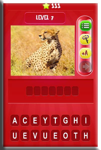 Animals Spelling Quiz for Kids
