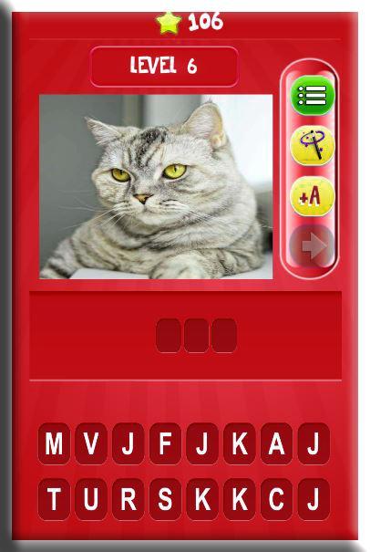 Animals Spelling Quiz for Kids