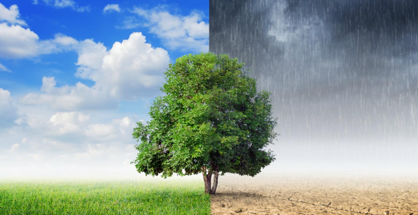 Weather in Kashmir