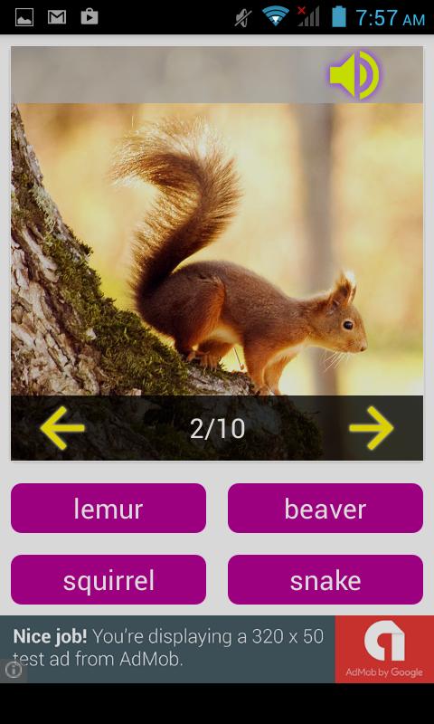 Animal sounds (Play & Quiz)