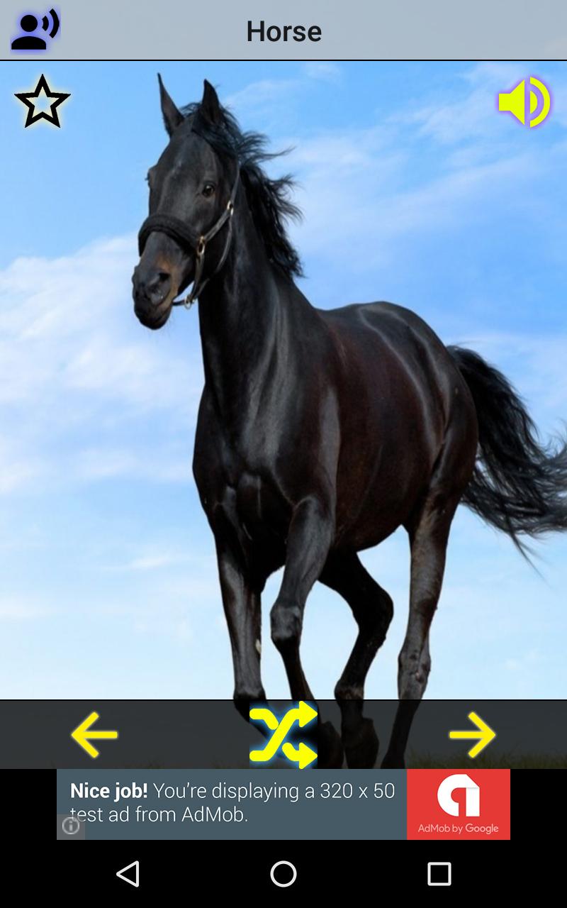 Animal sounds (Play & Quiz)