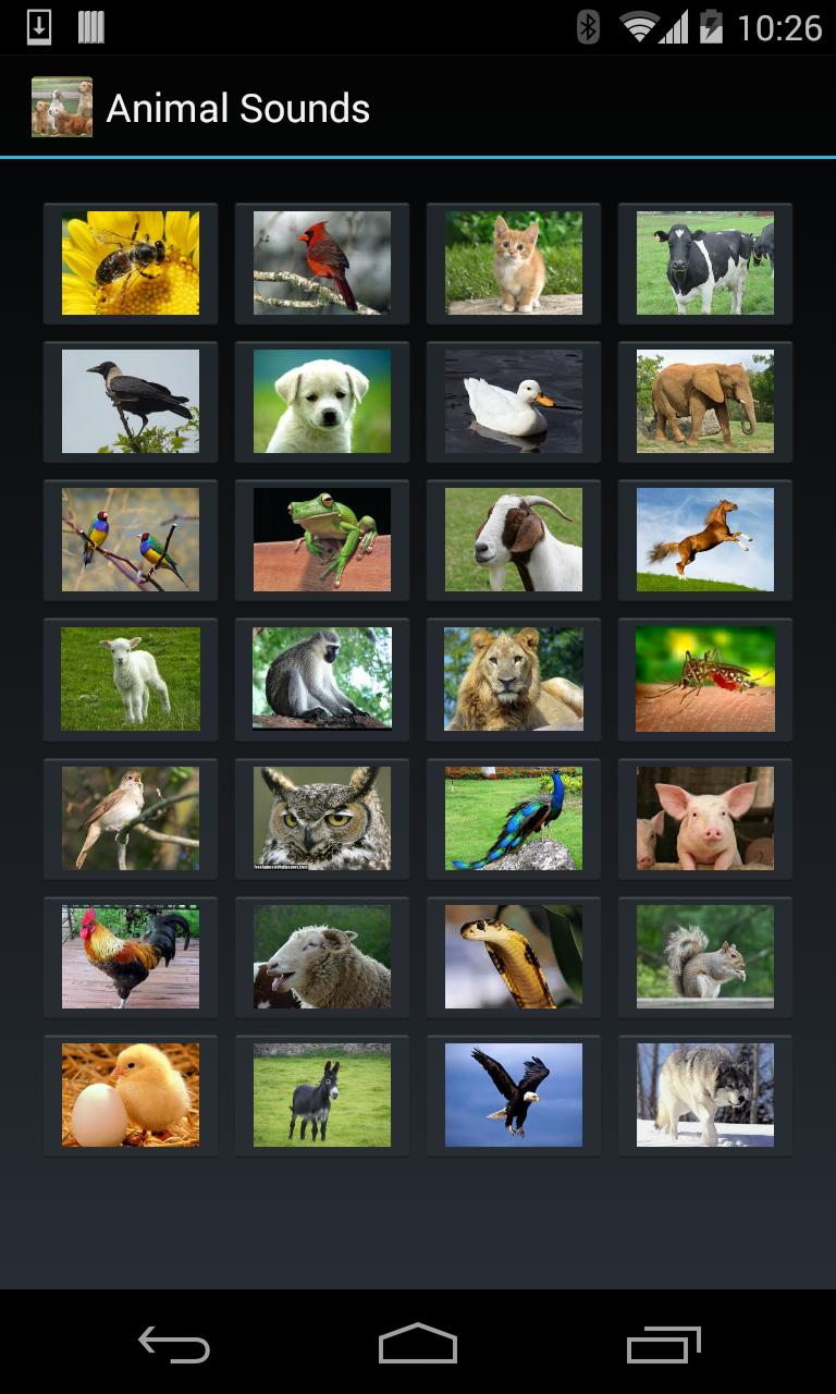 Animal Sounds (4 line display)