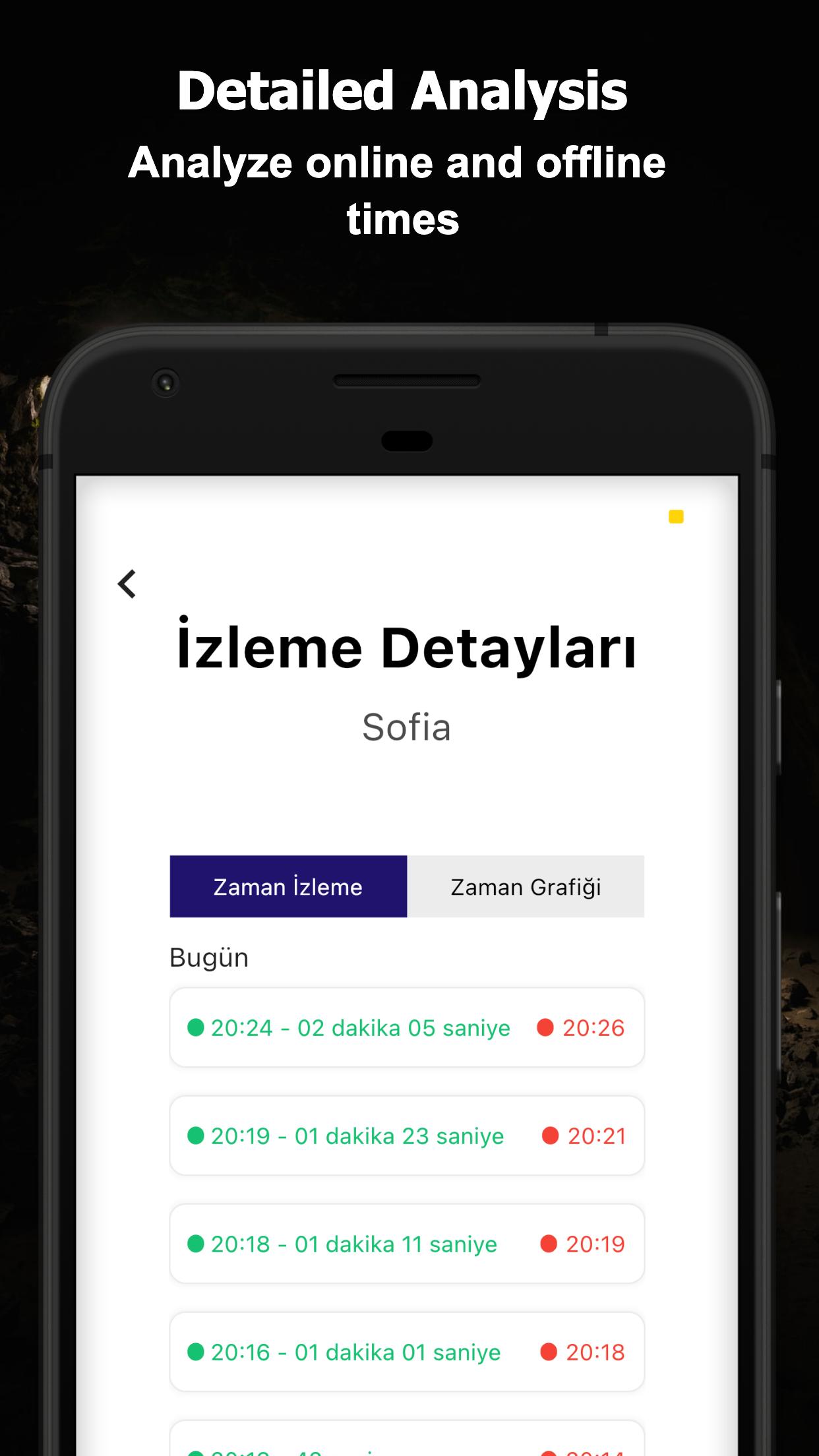 Whatsapp Online - Last Seen