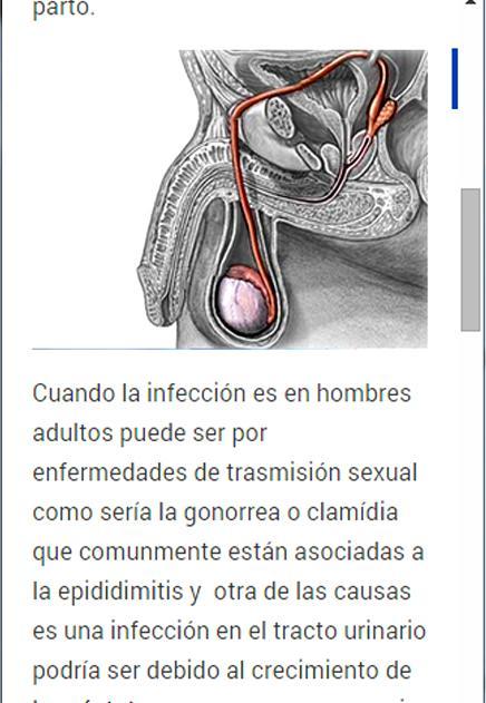 Healthy Prostate