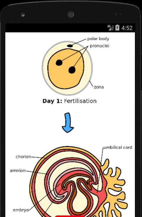 Early signs of pregnancy - pregnancy symptoms
