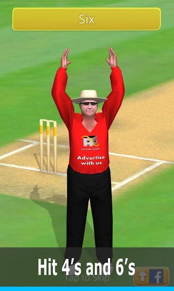 Smashing Cricket