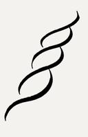 Calligraphy HD