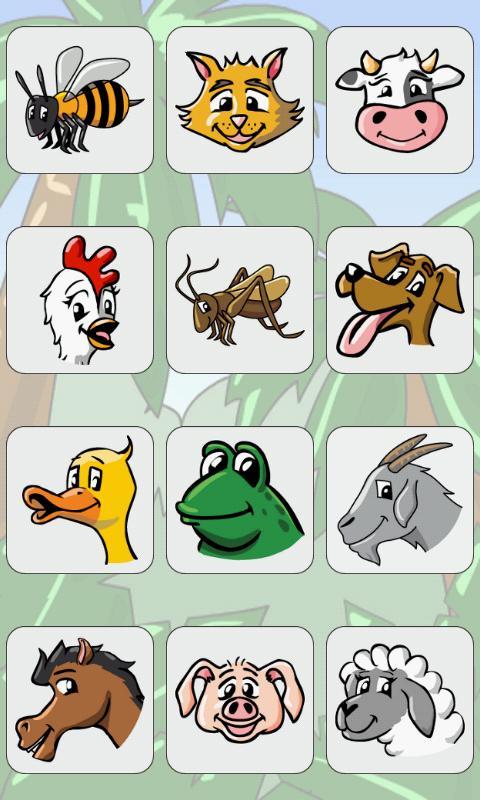 Animal Kids Zoo