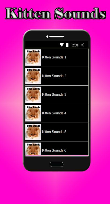Kitten Sounds