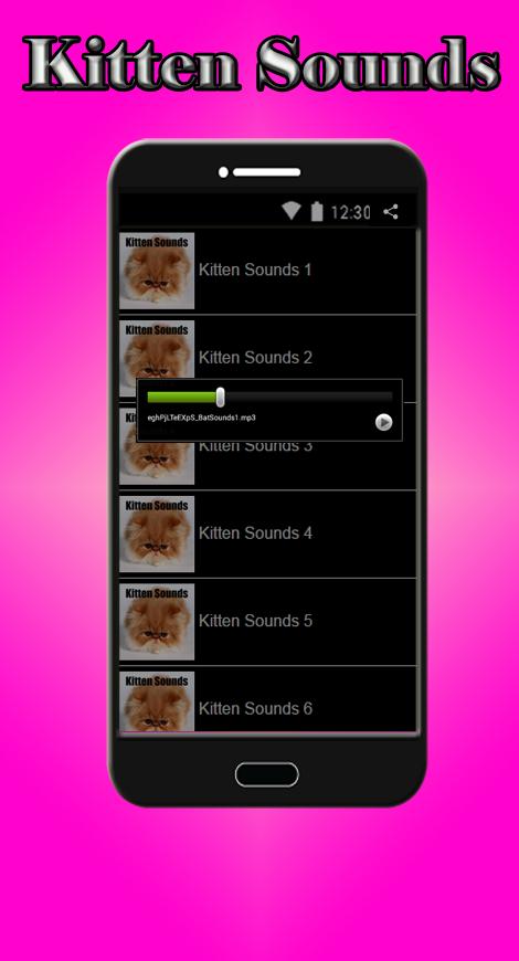 Kitten Sounds