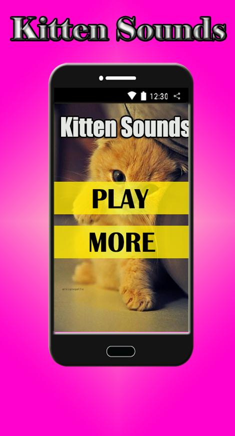 Kitten Sounds