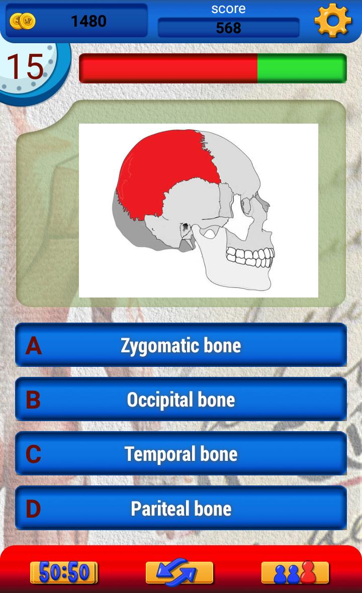 Anatomy Trivia Quiz