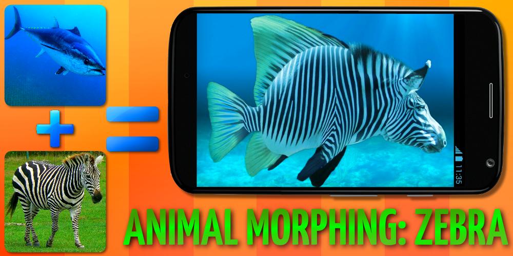Animal Morphing: Zebra Hybrid