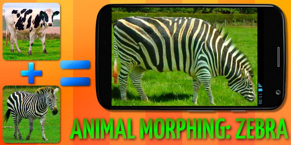 Animal Morphing: Zebra Hybrid