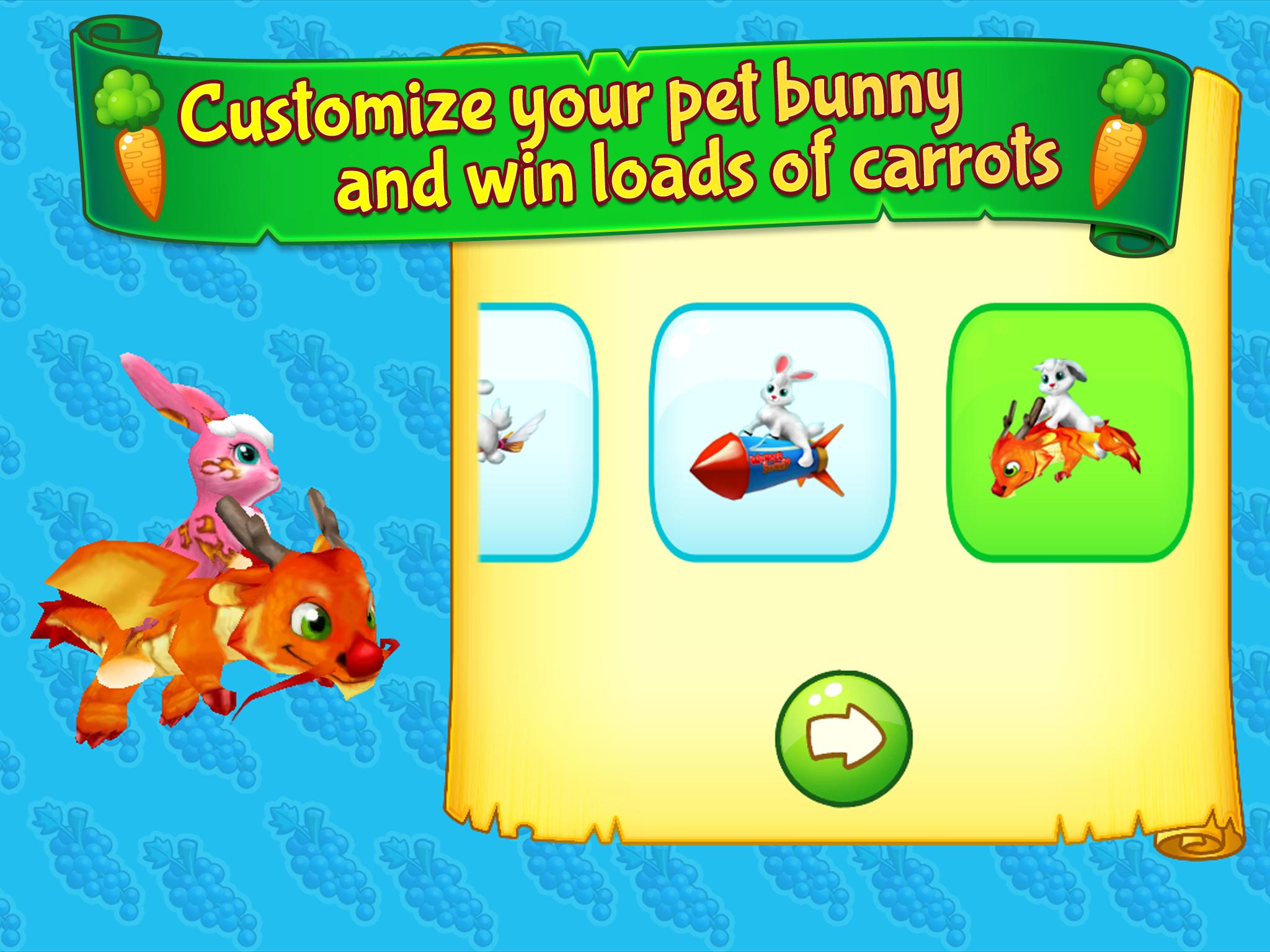 Wonder Bunny Math Race Grade 2