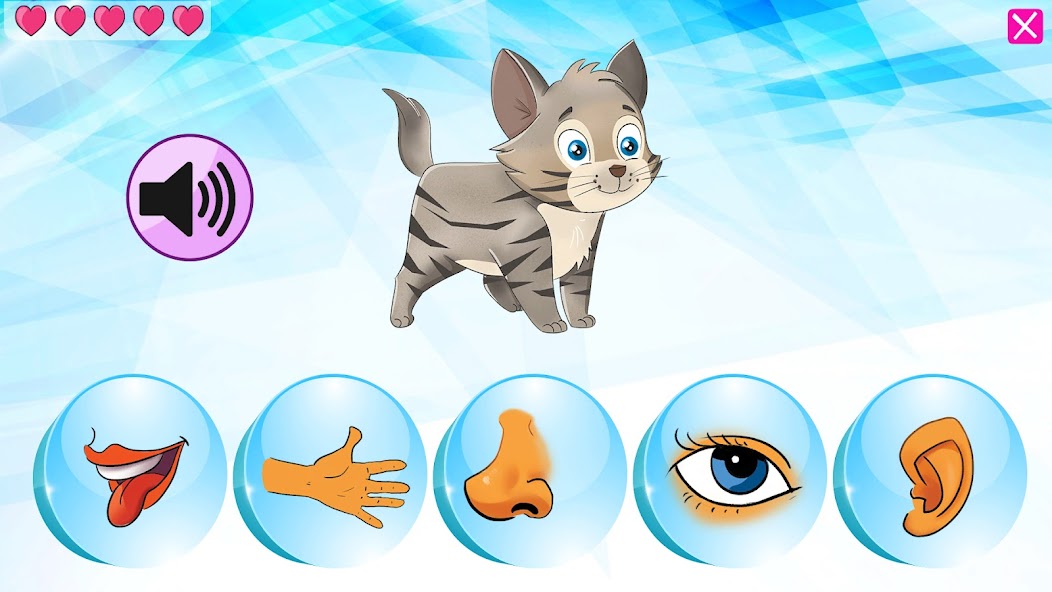 Secretul frunzei calatoare