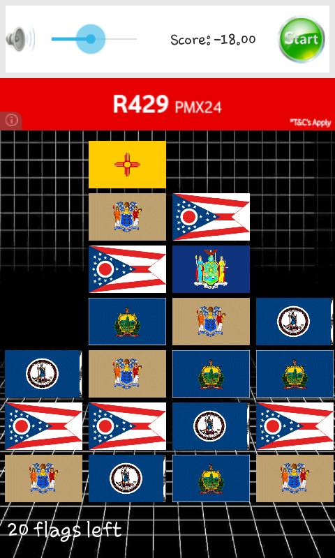 USA 50  States Flags