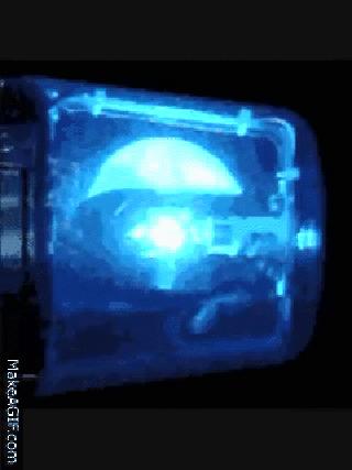 Police siren flashing lights